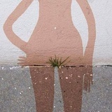 视觉植物