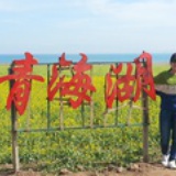 唐幽燕总代
