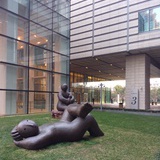 我爱谈天你爱笑