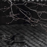 平衡