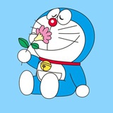 楠楠
