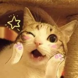 坏公子