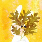 bird_n_tree