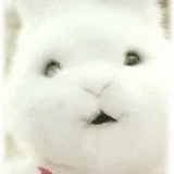 kaionline