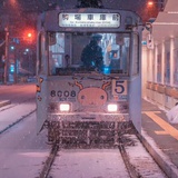 夏夜晚风🪁