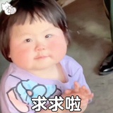 阳台党也有春天
