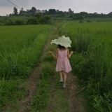 树犹如此