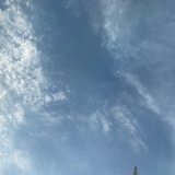 田澄