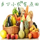 乡下小农有点田