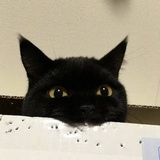 就开心呀