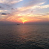 米兰催眠鸟
