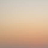 欺鹤
