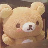 玉貓