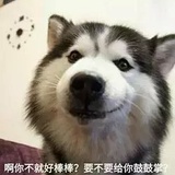 涛哥