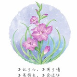 小雨3号