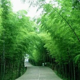 永晗学笛