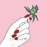 番茄梦想和芹菜