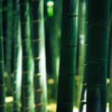 一支音书