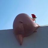 金钱不眠