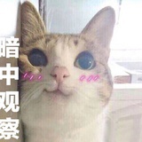三碗不过刚半饱