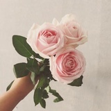 格里高尔