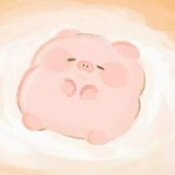 甜宝小猪