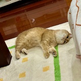 万碗碗