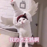 一个人的好天气