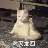 灰灰酱