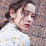 杉茶