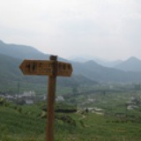 weibinwang
