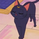 芝麻