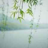 雨雪霏霏