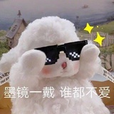 花xiao