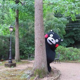 糖醋小排