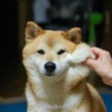 iDohope