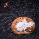 火火