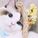 钟xy安