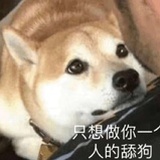 夜幕丶