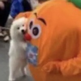 旺仔