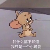 动物管理部门