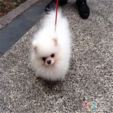 冷域锦