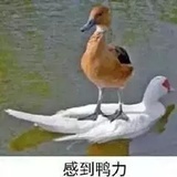 潮水