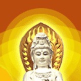 wqf888888
