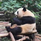 月上重楼