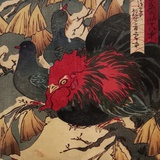 左手一只又鸟
