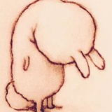 taraxacum绵