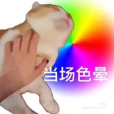 小猫（好运来版