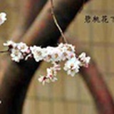编舟小记