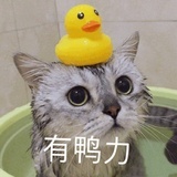甘乐